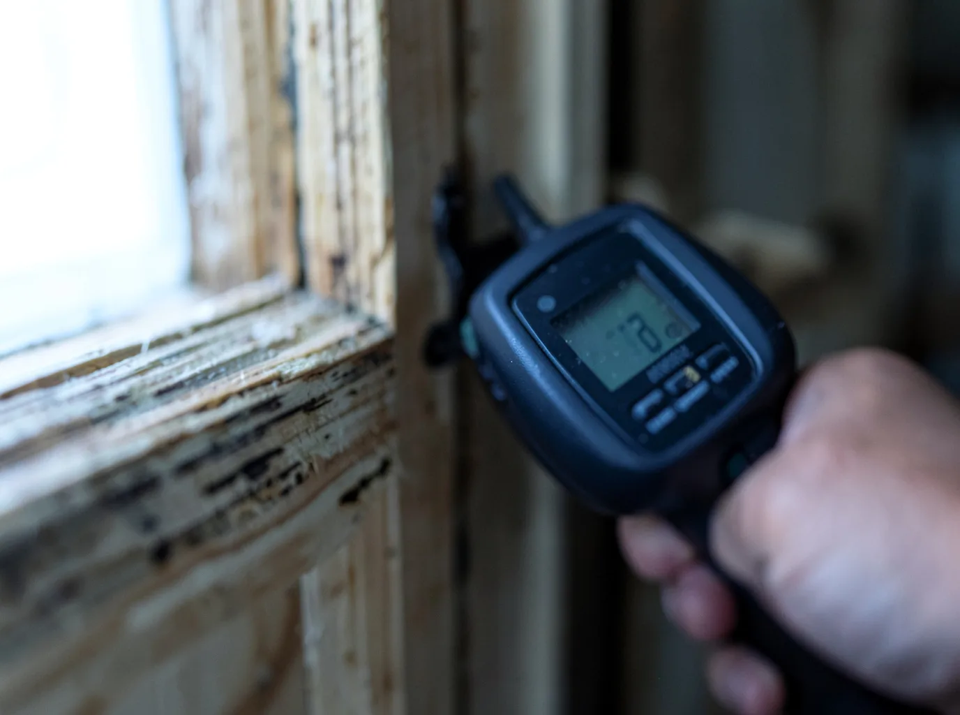 Moisture Inspection And Documentation in Takotna, AK
